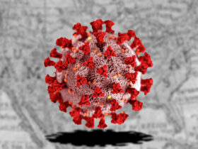 COVID-19 and Flu Mortality Risk Parity Under JN.1 Dominance